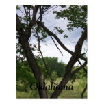 clouds(Oklahoma) Post Cards