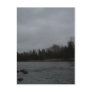 Cloudy Gray Dawn - 3 April 2010 Postcard
