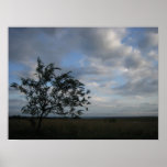 Cloudy Skys Posters