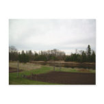 Cloudy Spring dawn after rain Postcards