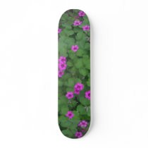 Clover333 Skateboard