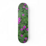 Clover333 Skateboard