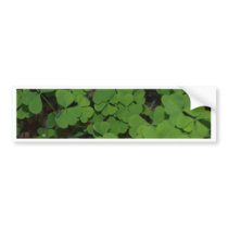 clover cluster bumper sticker
