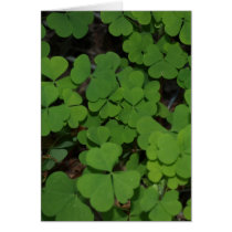 clover cluster greeting card
