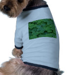 Clover Field photographed Pet Clothes