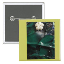Clover Pinback Button