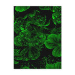 Clover Postcard
