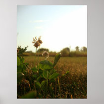 Clover Posters