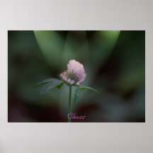 Clover Posters