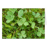 Clovers and Dew Drops Card