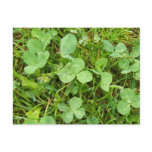 Clovers and Dew Drops Postcard
