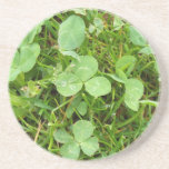 Clovers and Dewdrops Coaster