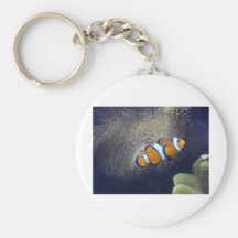 clown fish, 2 key chain