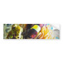 Clown Fish Bumper Sticker