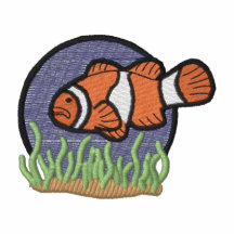 Clown Fish