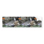 Clown Fish In The Tank Bumper Sticker
