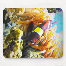 Clown Fish Mouse Pads