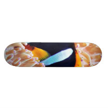 Clown Fish Tropical Fish Skate Board Deck