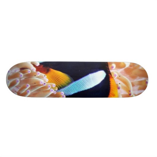 Clown Fish Tropical Fish Skate Board Deck