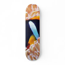 Clown Fish Tropical Fish Skate Board Deck