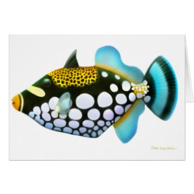 Clown Triggerfish Card by twopurringcats