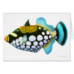Clown Triggerfish Card