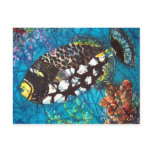 CLOWN TRIGGERFISH POSTCARD