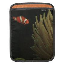 clownfish and anenome  ipad / ipad2 sleeves for iPads