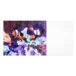 Clownfish and Coral Personalized Photo Card