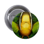 Clownfish in Anemone Pinback Buttons