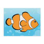 Clownfish Postcard