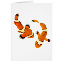 Clownfish se querellant carte