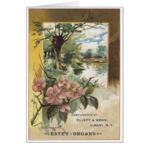 Cluett and Sons Estey Organs Cards