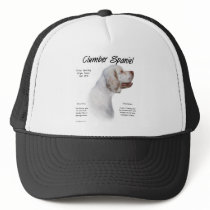 Clumber Spaniel History Design
