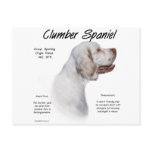 Clumber Spaniel History Design