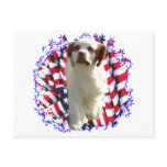 Clumber Spaniel Patriot