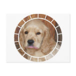 Clumber Spaniel Postcard