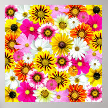 Cluster Of Flowers Posters