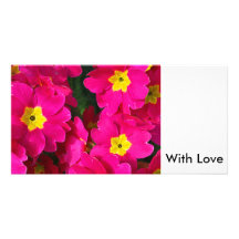 Cluster of Pink, Customized Photo Card