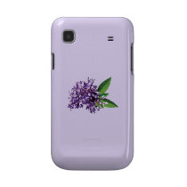 Cluster of Purple Lilacs
