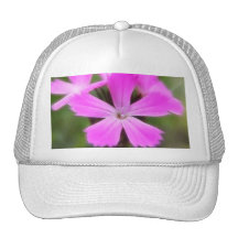 Clusterhead Pink - Dianthus carthusianorum Mesh Hats