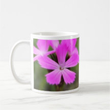 Clusterhead Pink - Dianthus carthusianorum Coffee Mugs