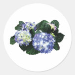 Clusters of Purple Hydrangea Stickers