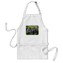 Clusters of Wisteria Aprons
