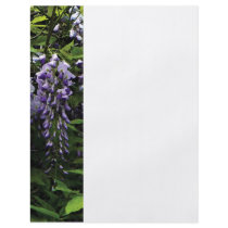 Clusters of Wisteria Flyers