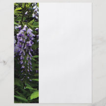 Clusters of Wisteria Flyers