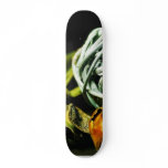 Clutter Balls Woven skateboards