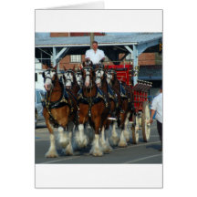 Clydesdale 6 horse hitch greeting card