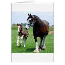 Clydesdale and Filly Card