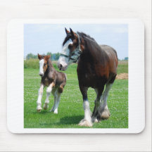 Clydesdale and Filly Mouse Pads